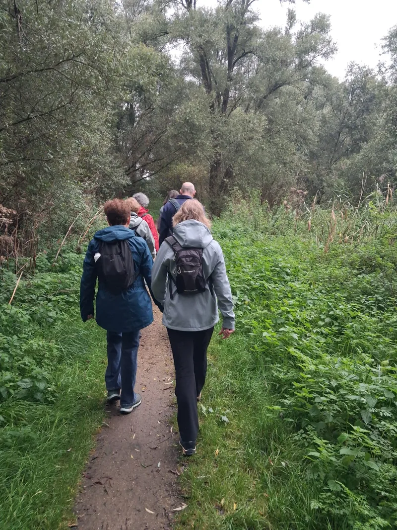 Wandelen